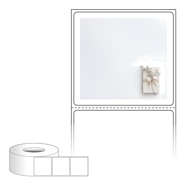 RL6056-DA2322