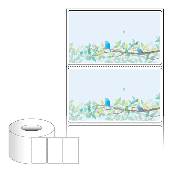 RL9052-DA2111