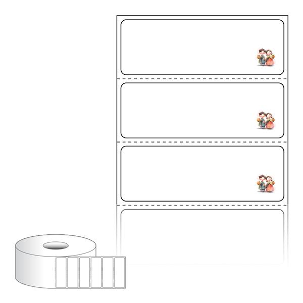 RS6020-DV211