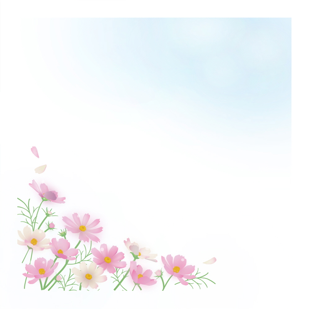 가을날의 코스모스