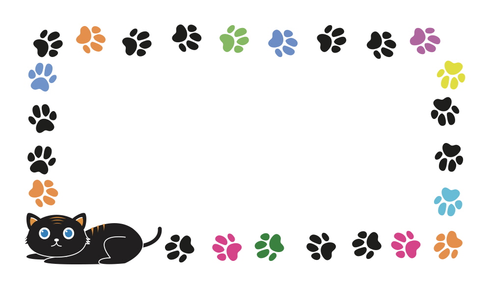 검은 고양이 메롱~