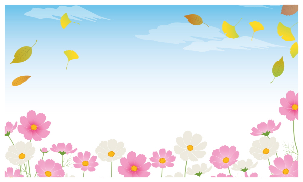 코스모스, 낙엽, 푸른하늘