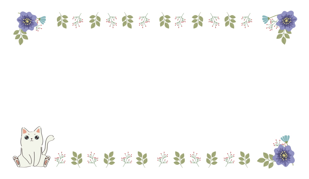 헬로 귀여운 야옹이~