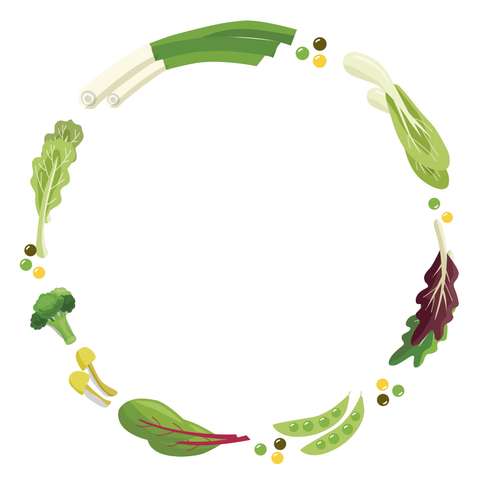 건강해지는 야채 컬렉션