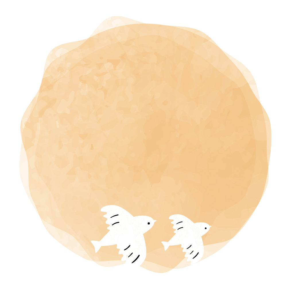 저녁 노을과 새