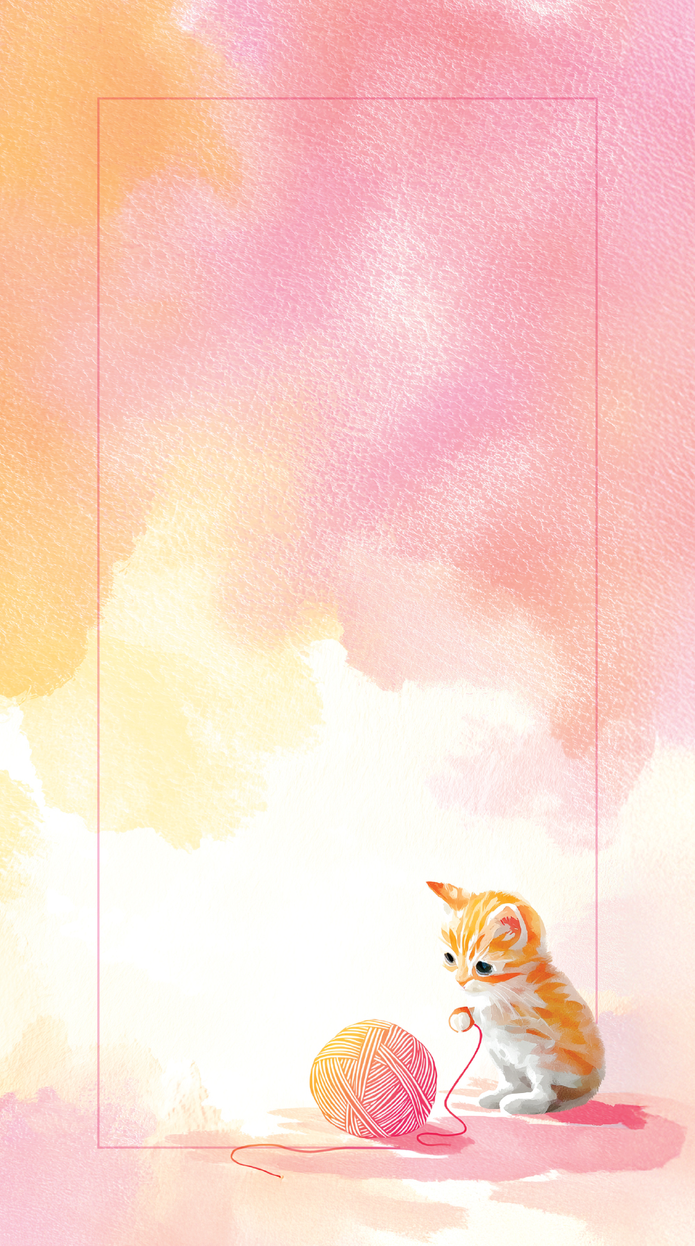 수줍은 아기고양이