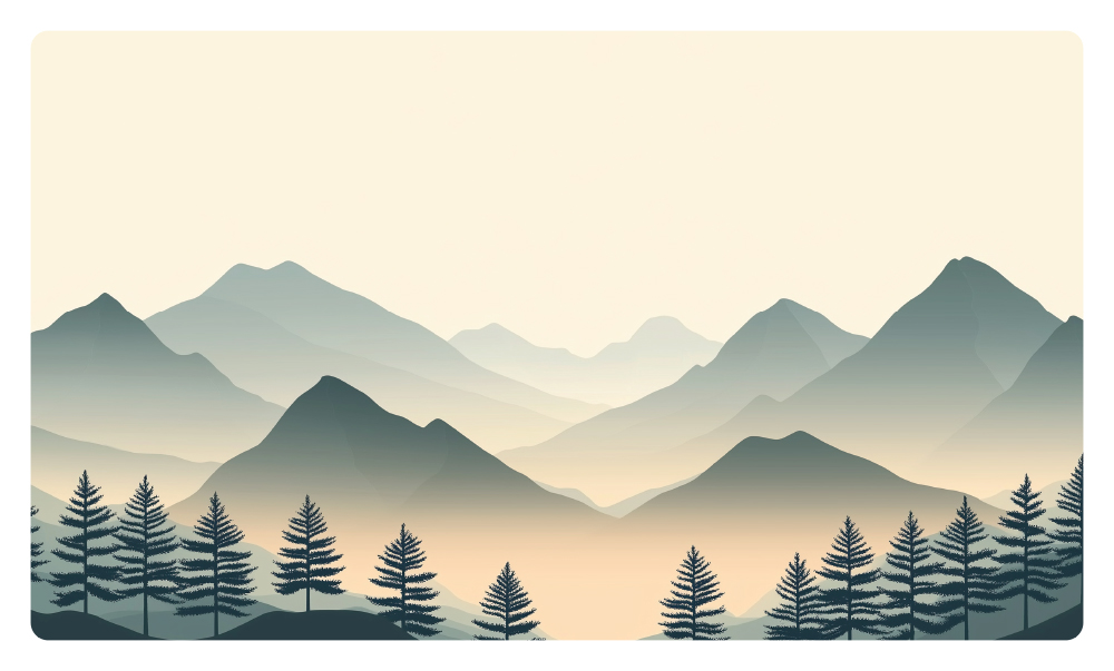 고요한 아침의 숲