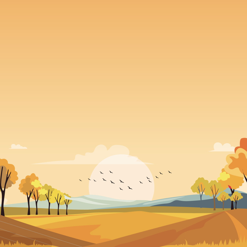 황금들녘을 바라 보았는가?