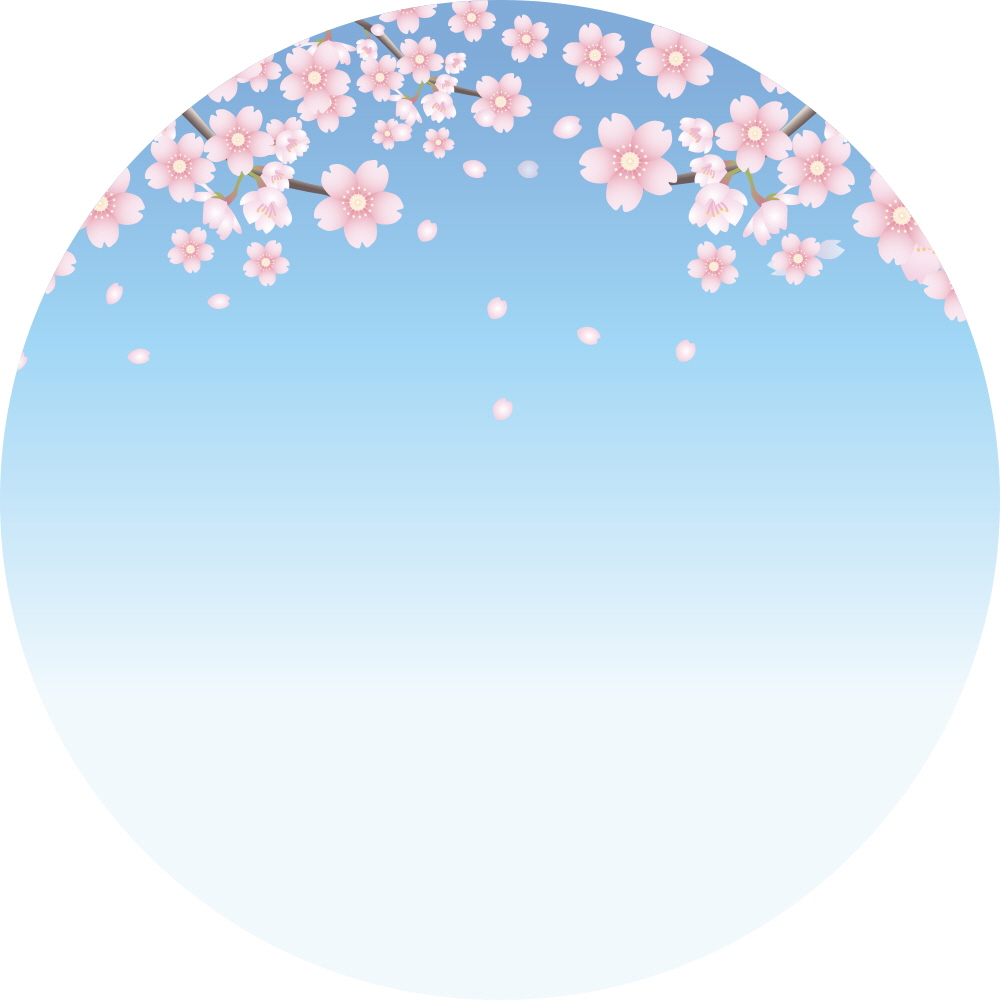 벚꽃 날리는 거리