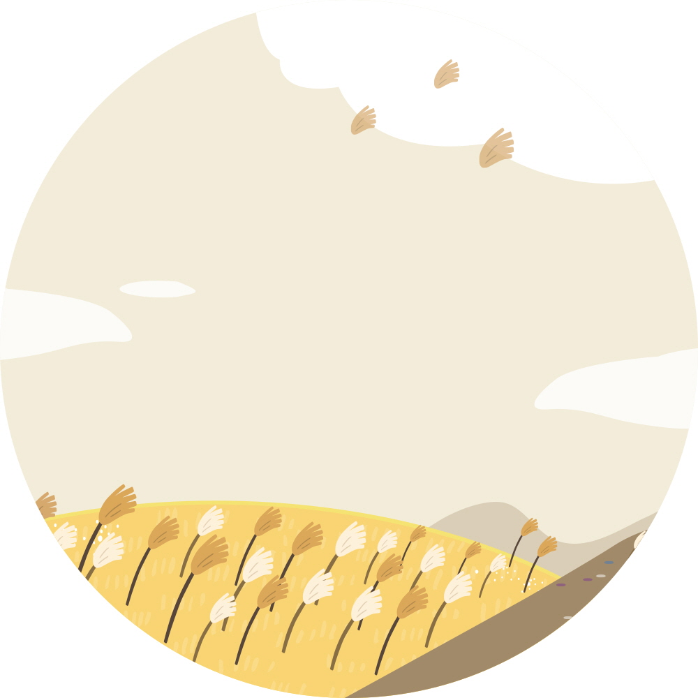 바람부는 억세언덕