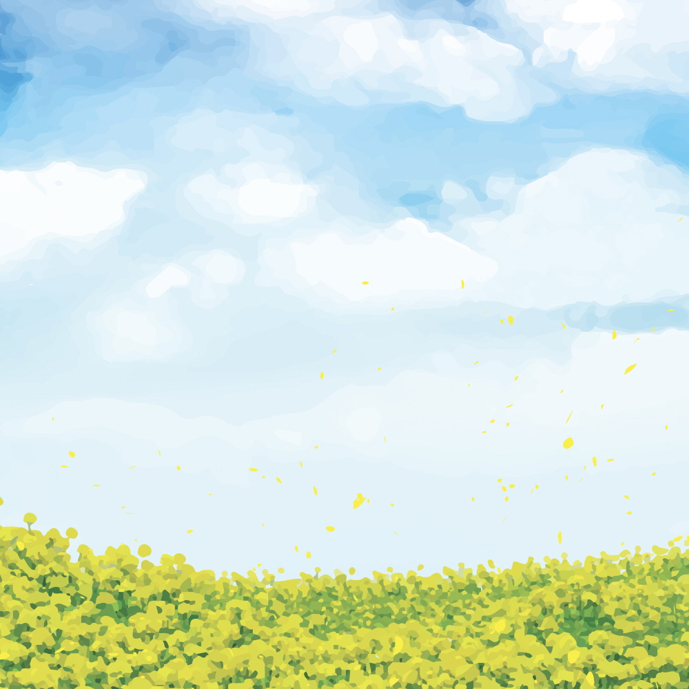 유채꽃 핀 들에서