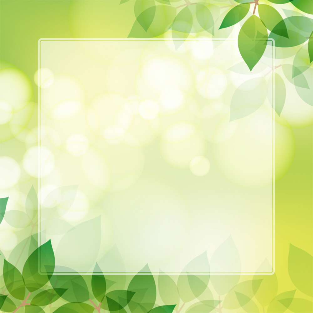 푸른 아침 햇살