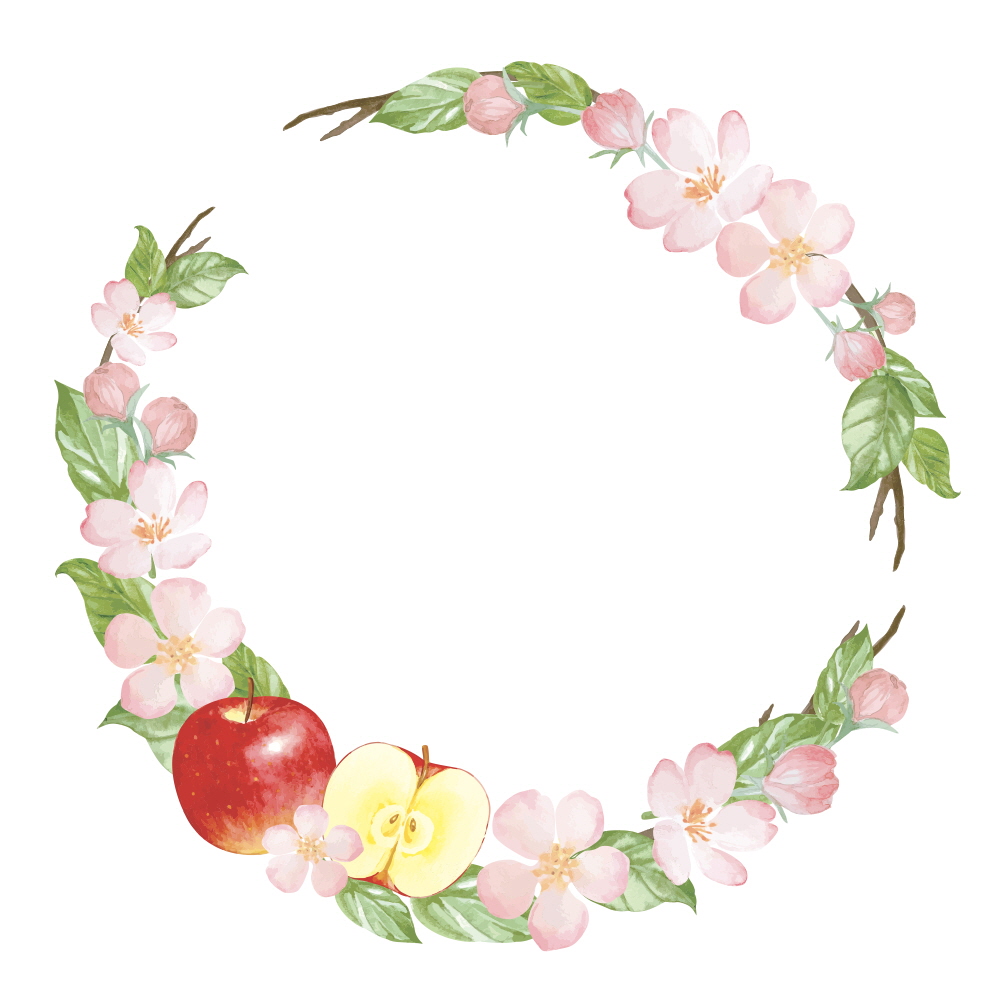 사과가 포인트예요