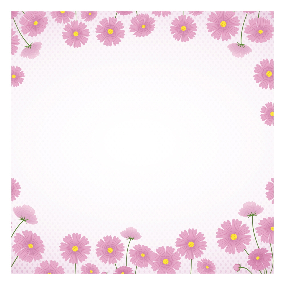 코스모스의 약속