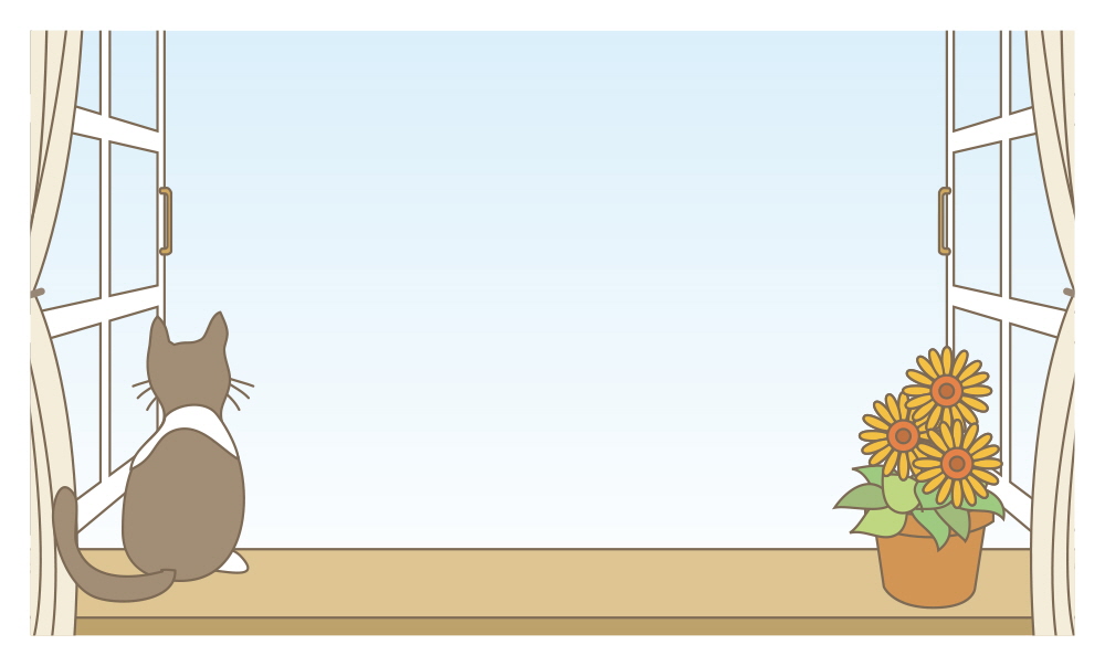 야옹아 무슨생각해?