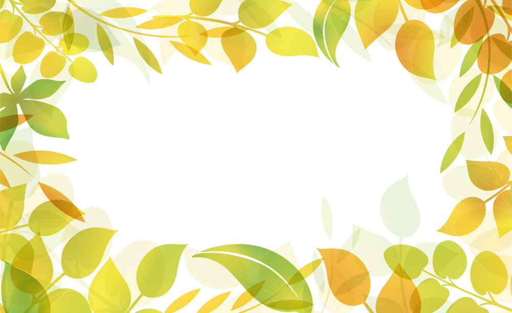 햇살 가득한 빛의 숲에서