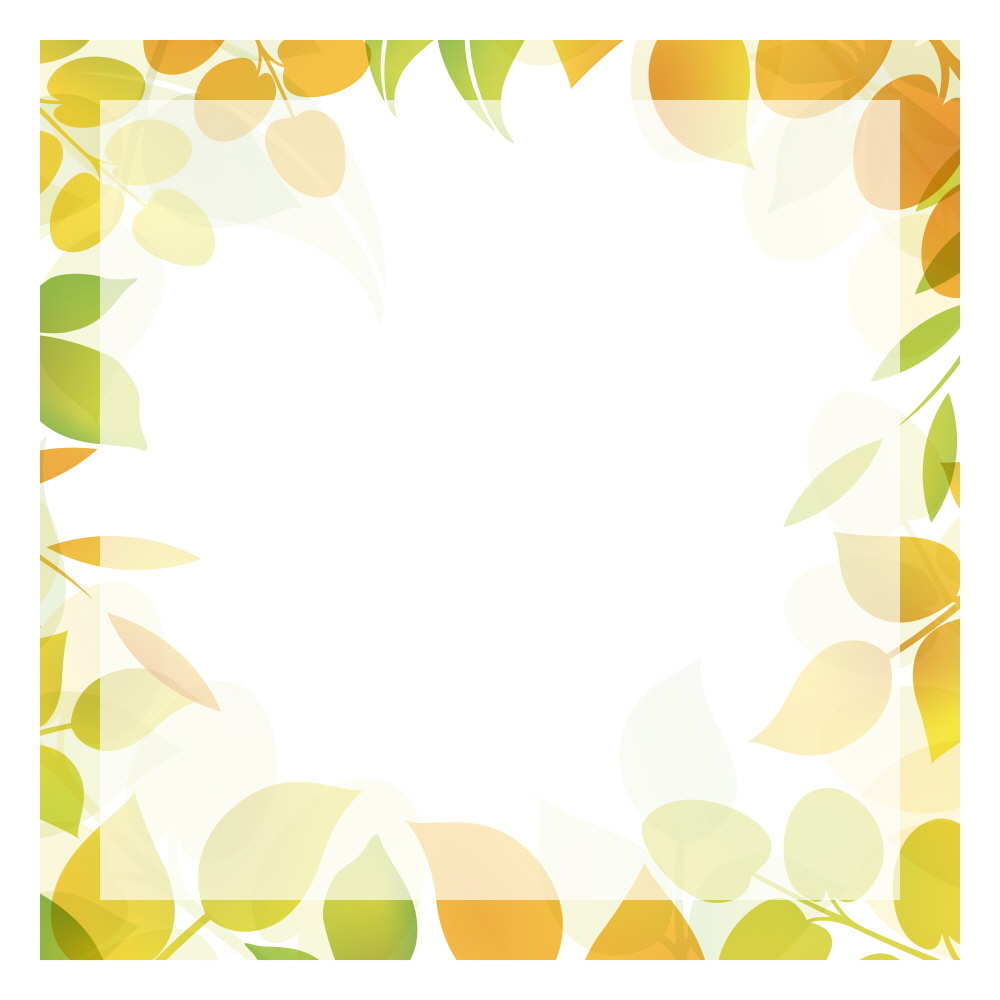 햇살 가득한 빛의 숲에서