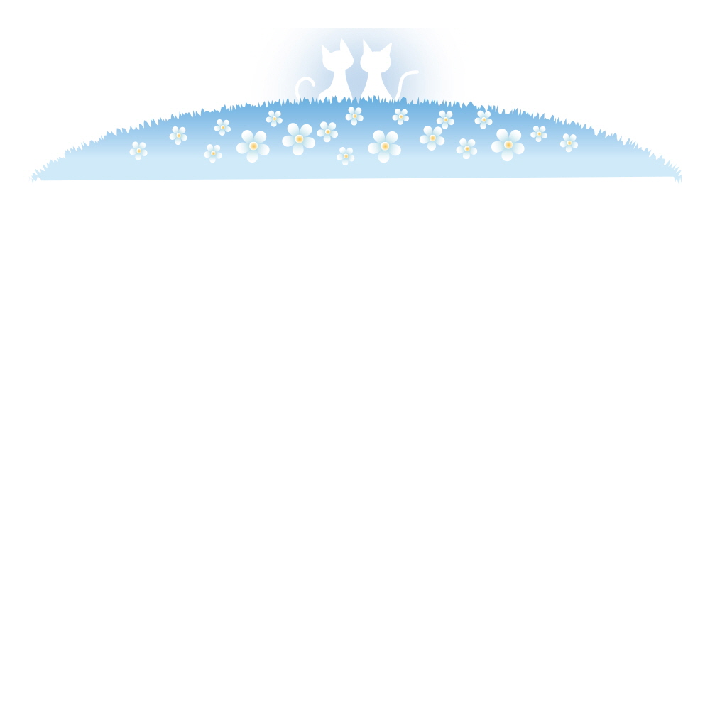 하늘 꽃 들판에서