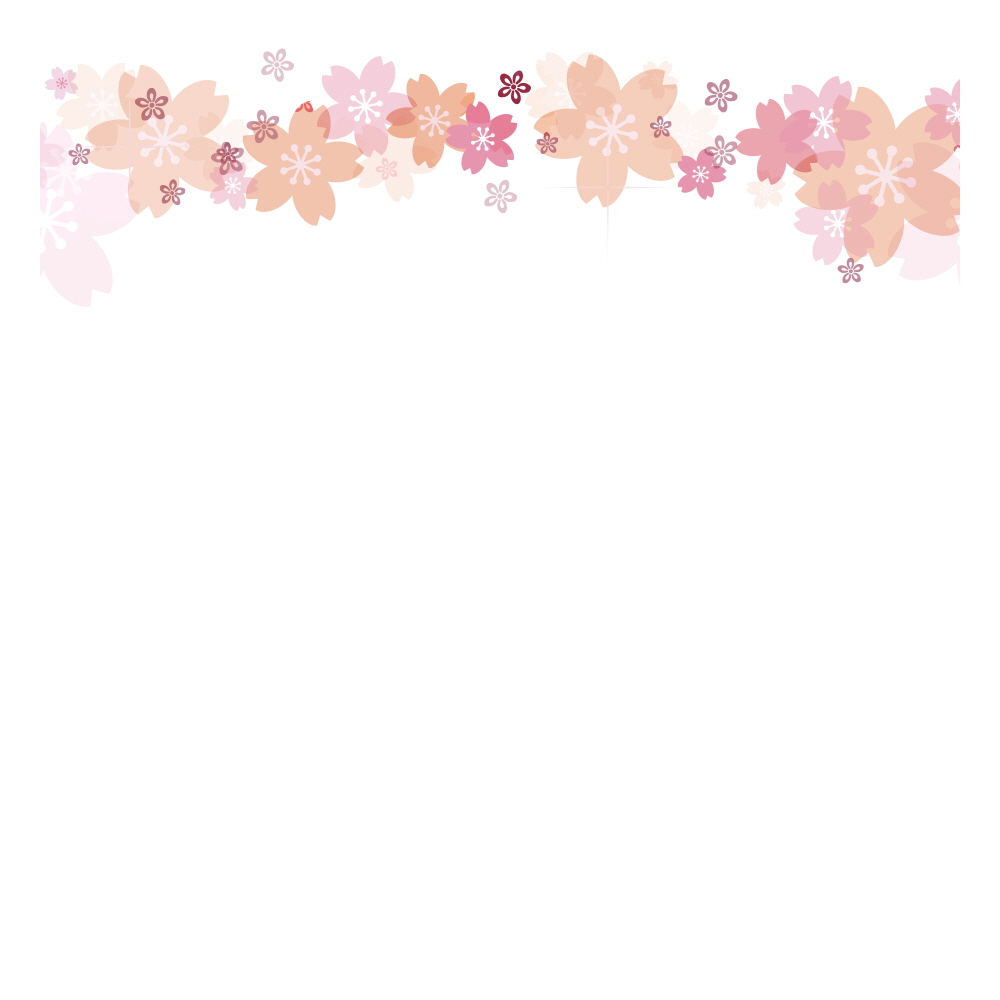 다시 찾아온 벚꽃의 계절