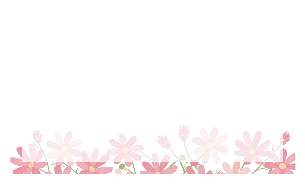 가을의 연인 코스모스