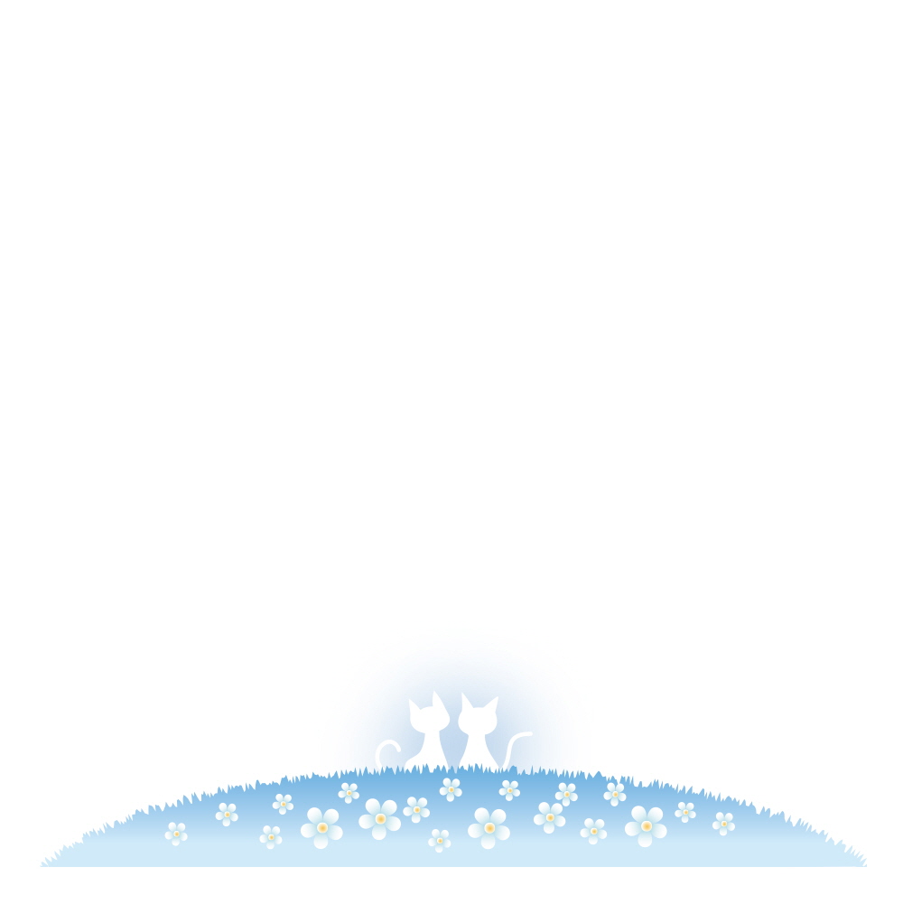 하늘 꽃 들판에서