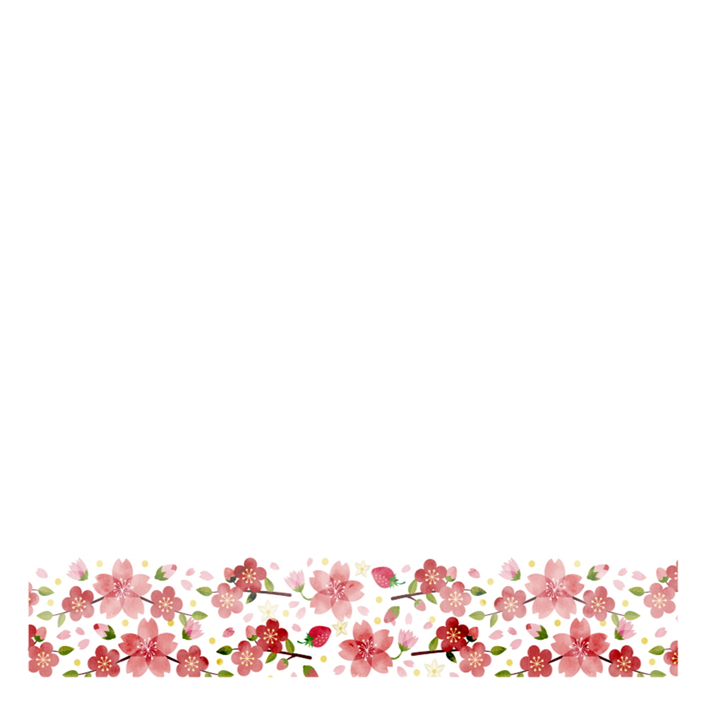 벚꽃은 이제 시작