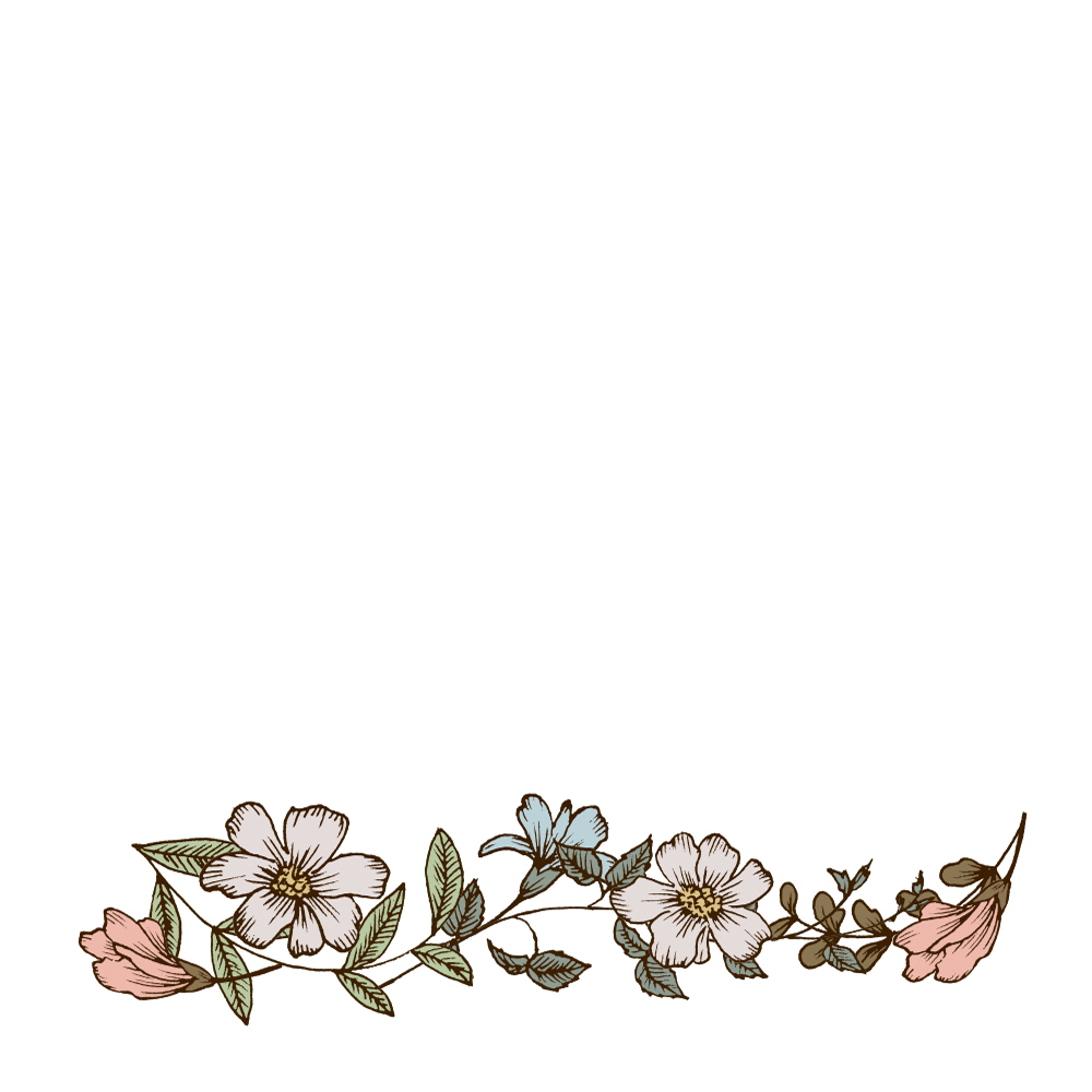 책갈피 속 마른 꽃잎