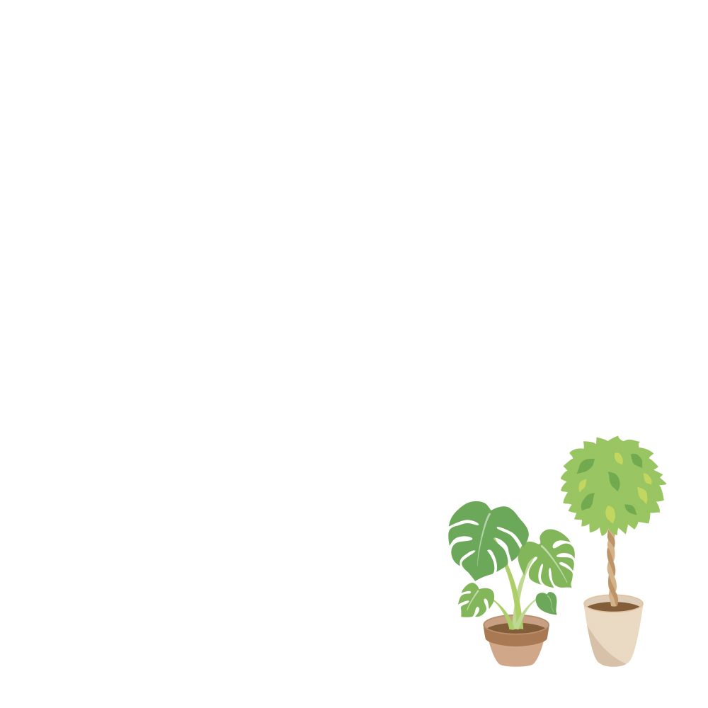 시작을 축하하며