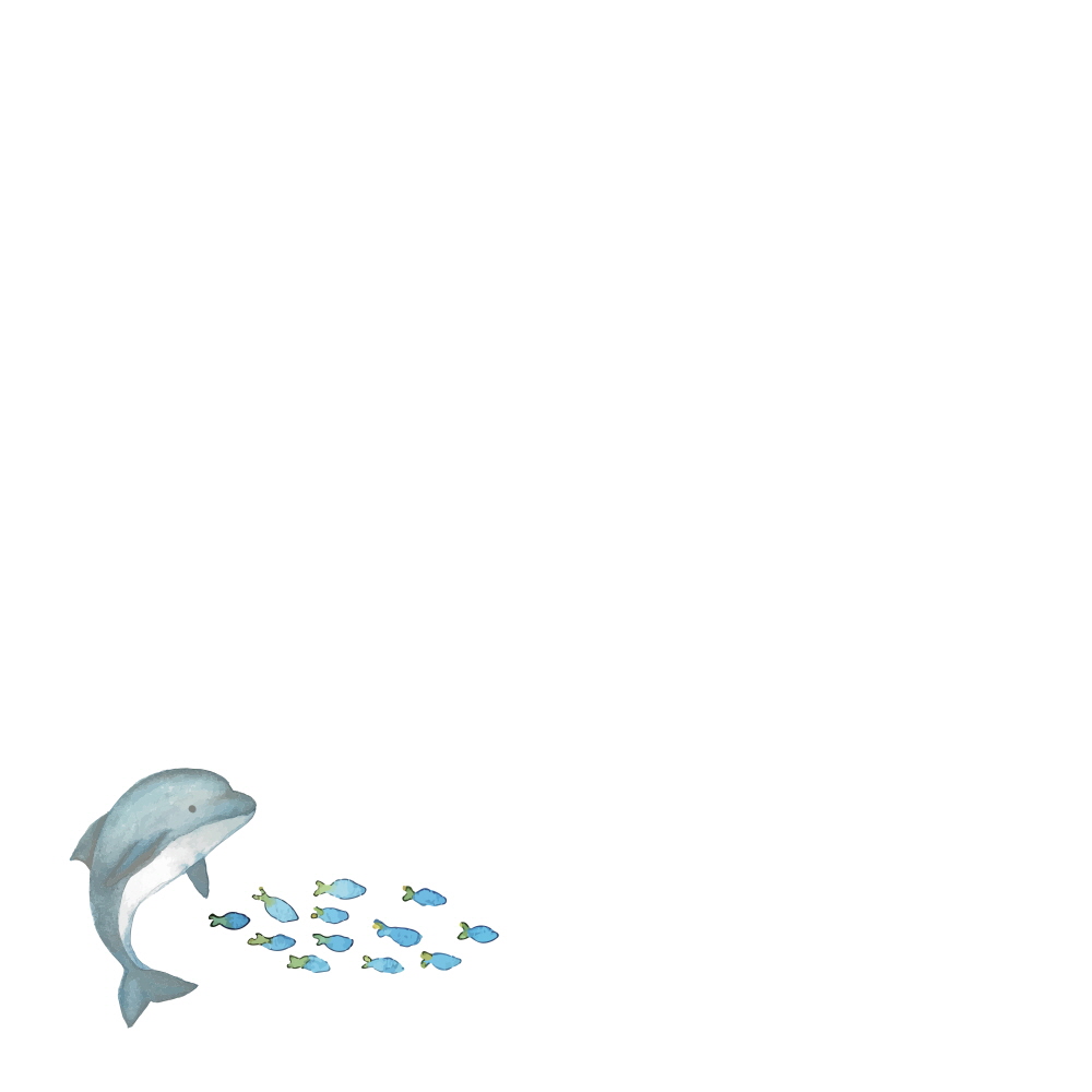 아기돌고래 핀과 놀아요