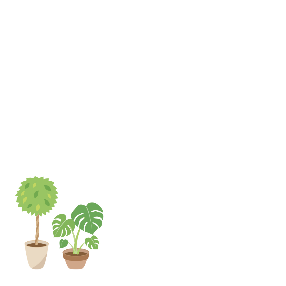 시작을 축하하며