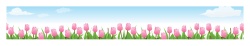 썸네일 디자인 이미지