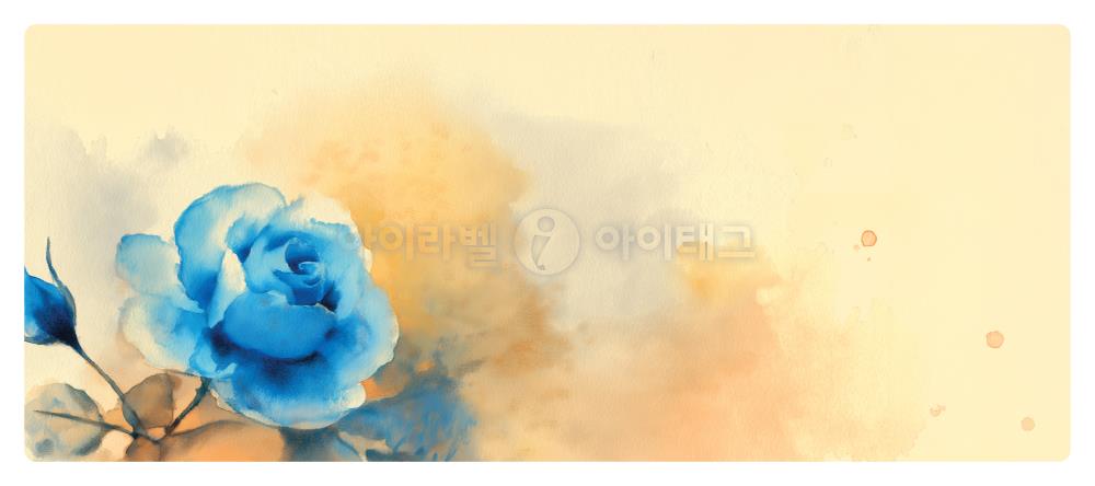 모달 디자인 이미지