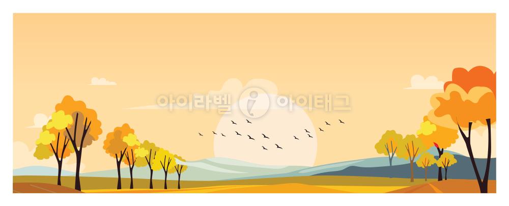 모달 디자인 이미지