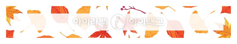 모달 디자인 이미지