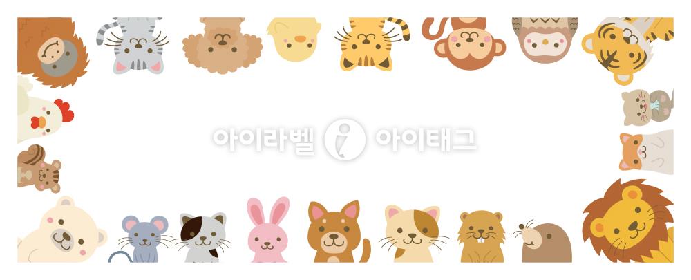 모달 섬네일 디자인 이미지