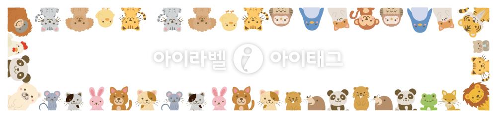 모달 디자인 이미지