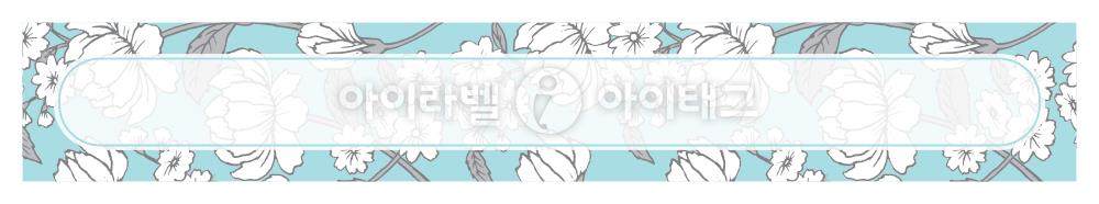 모달 디자인 이미지