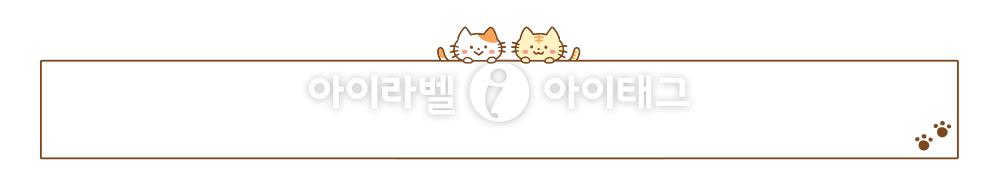 모달 디자인 이미지