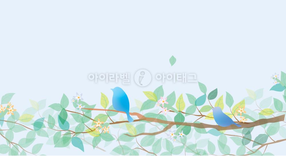 모달 섬네일 디자인 이미지
