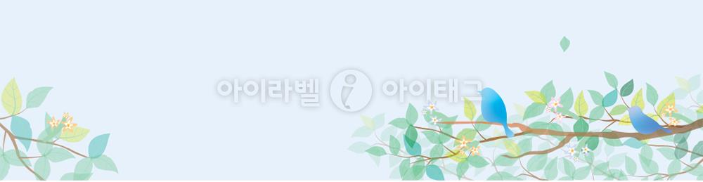 모달 디자인 이미지