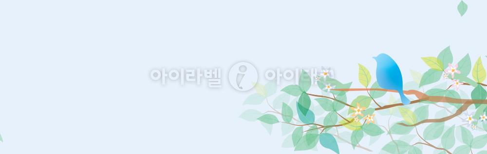 모달 디자인 이미지