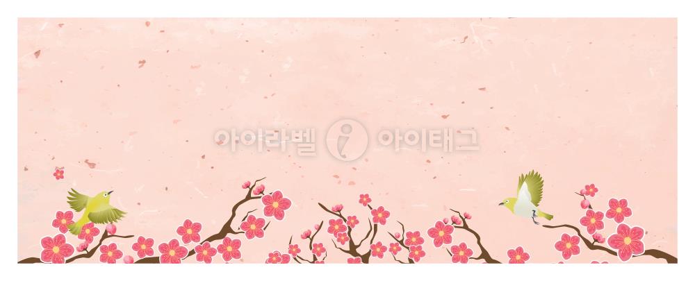 모달 디자인 이미지