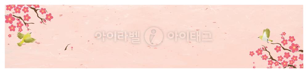 모달 디자인 이미지