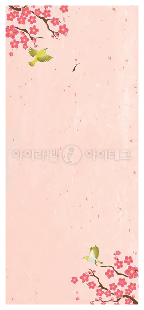 모달 디자인 이미지