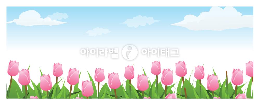 모달 섬네일 디자인 이미지