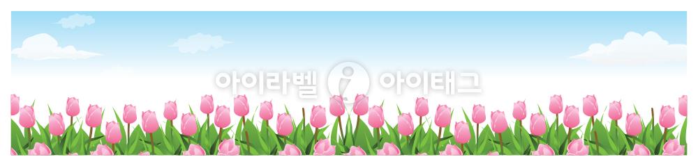모달 디자인 이미지