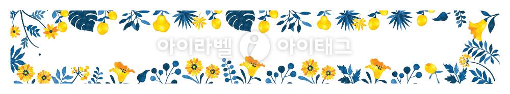 모달 디자인 이미지