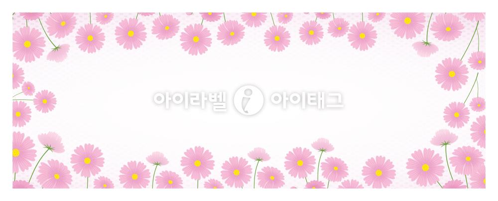 모달 섬네일 디자인 이미지