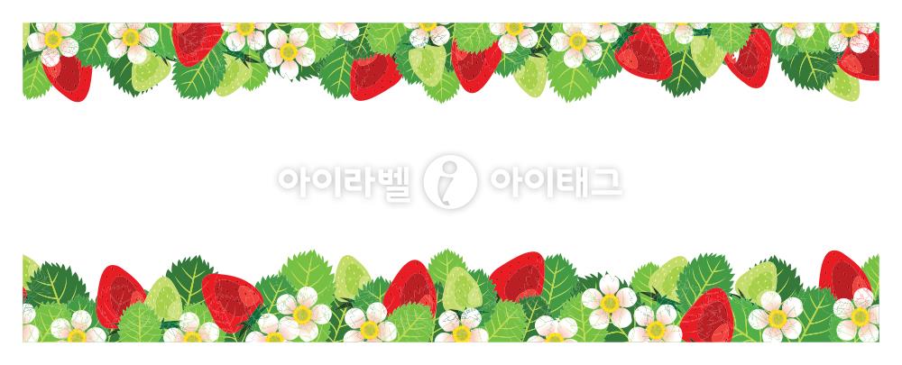 모달 섬네일 디자인 이미지