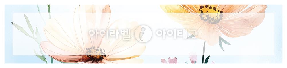 모달 디자인 이미지
